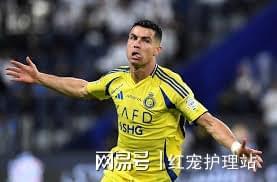 关于体育传奇再度辉煌：争夺尊严的殊荣的信息